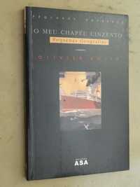 O Meu Chapéu Cinzento de Olivier Rolin