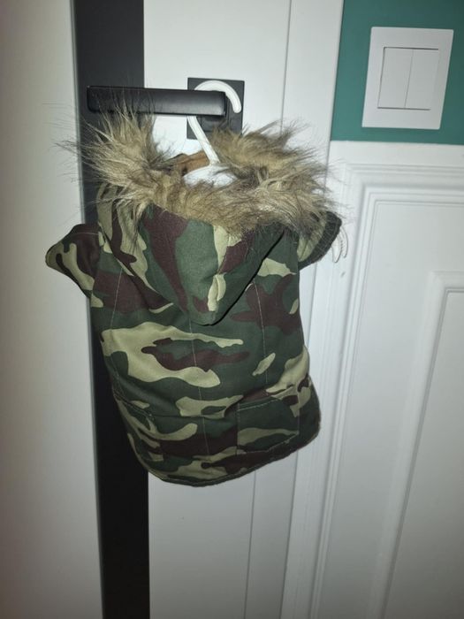 Ubranka dla pieska + komin