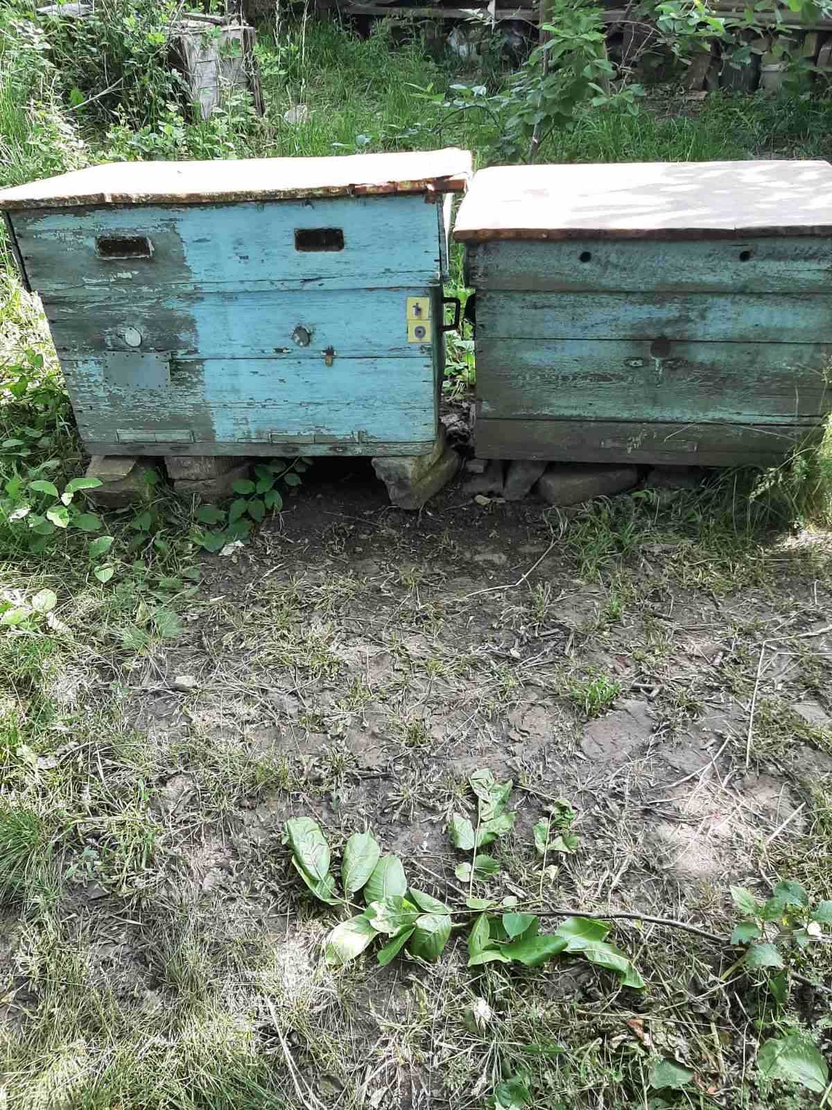 Продам Вулики Лежаки на 15-20 Рамок Кожен. Гарний Стан. Недорого.