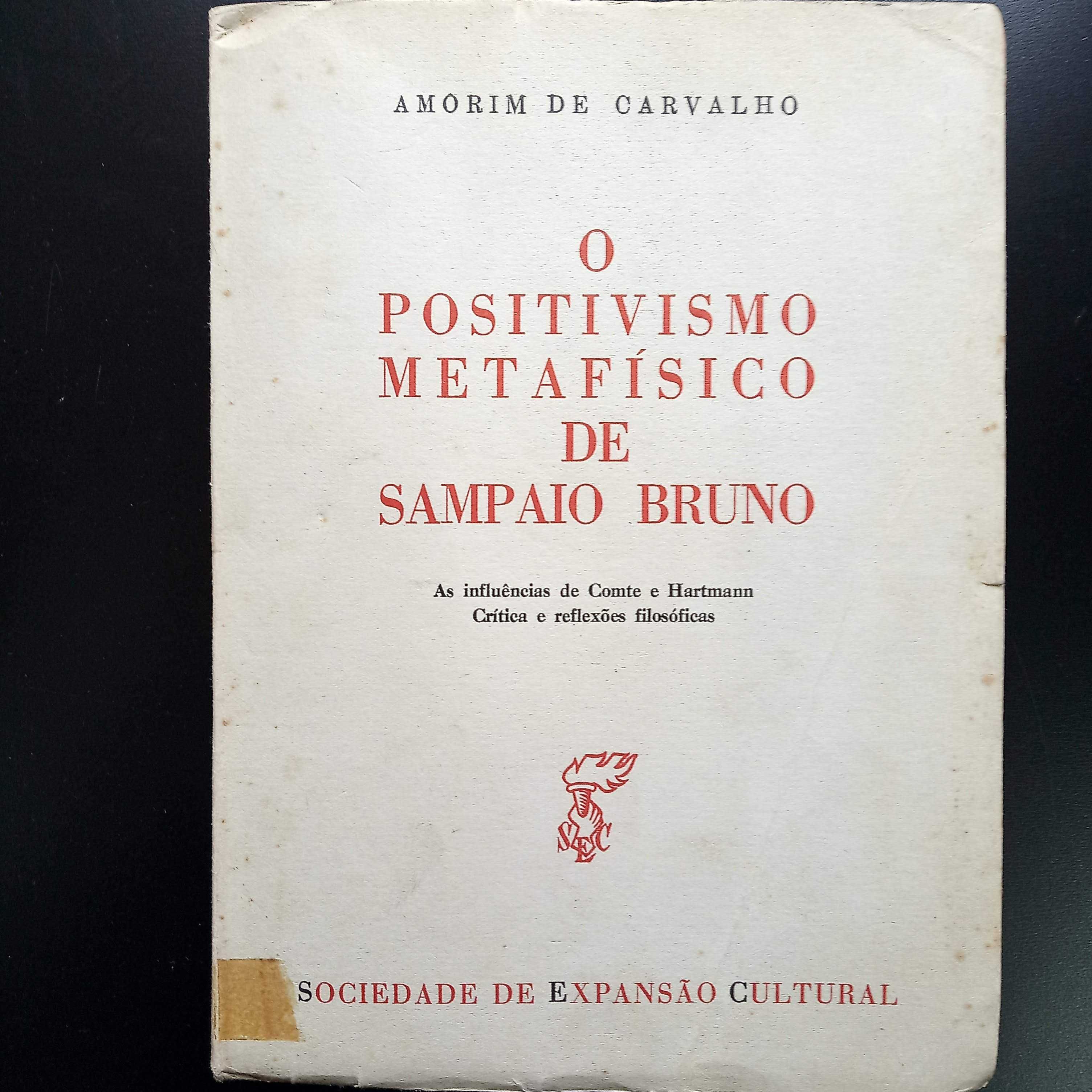 O Positivismo Metafísico de Sampaio Bruno