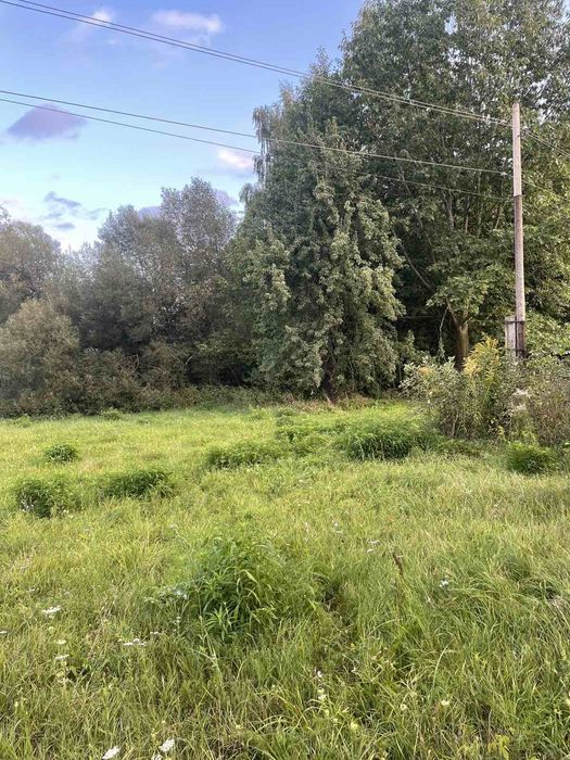 Будинок садиба біля лісу