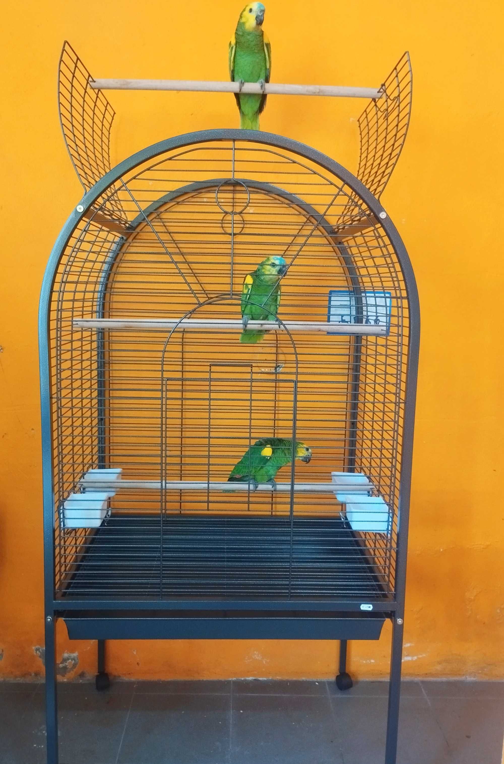 Gaiolas para papagaios e araras