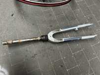 Widelec sparta batavus