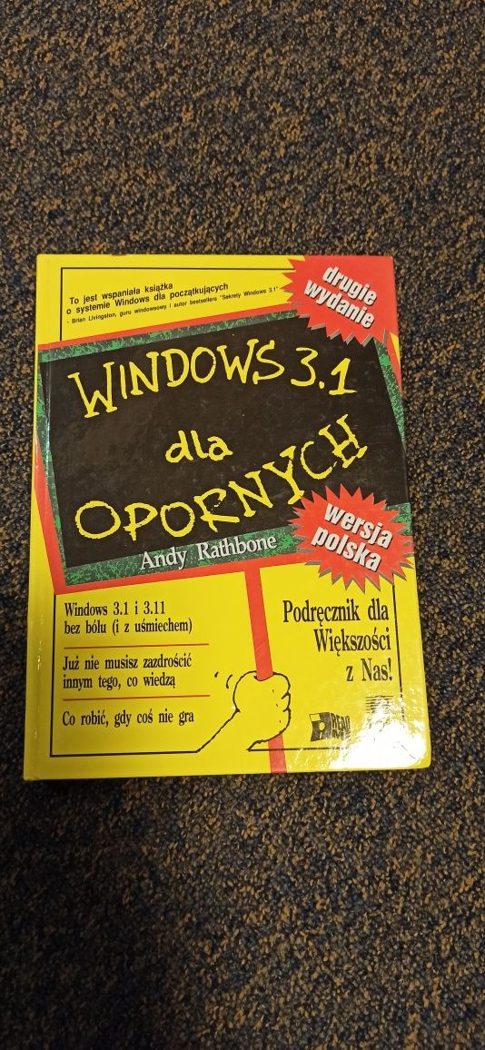 Windows 3.1 dla opornych - Andy Rathbone