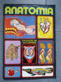 Caderneta de cromos Anatomia