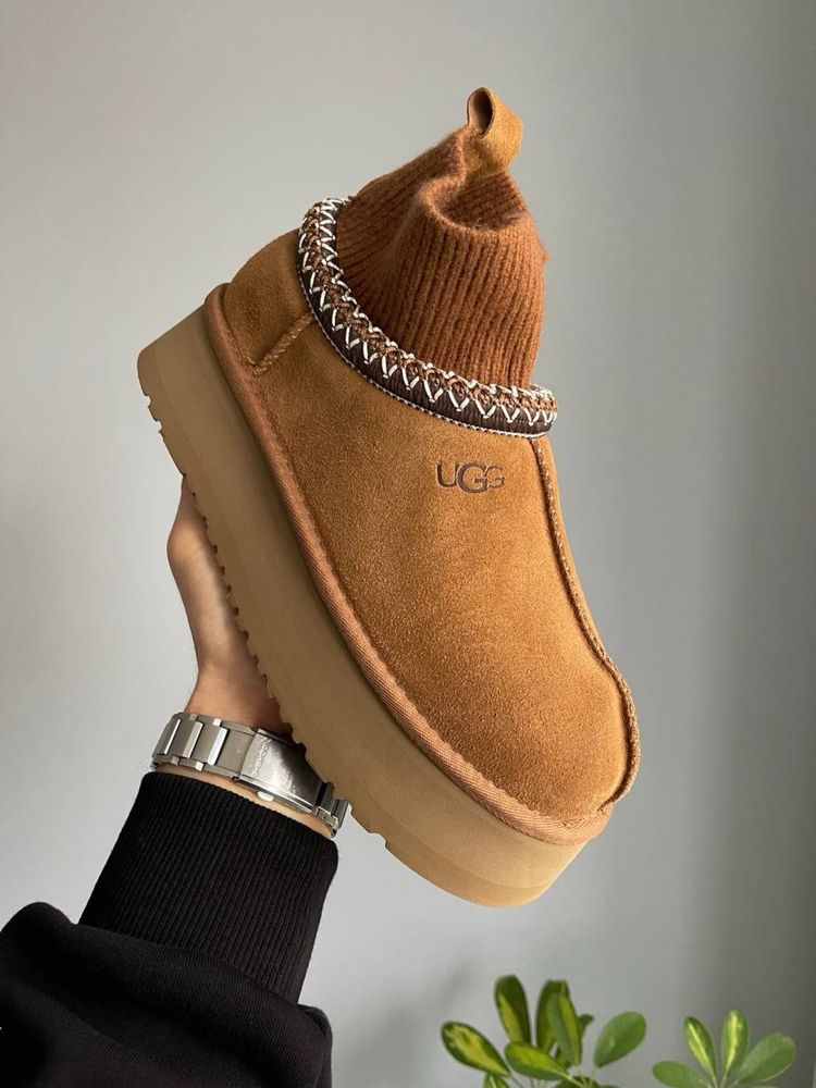 Трендові зимові угі Ugg Tasman Platform Sock Beige угі тасман