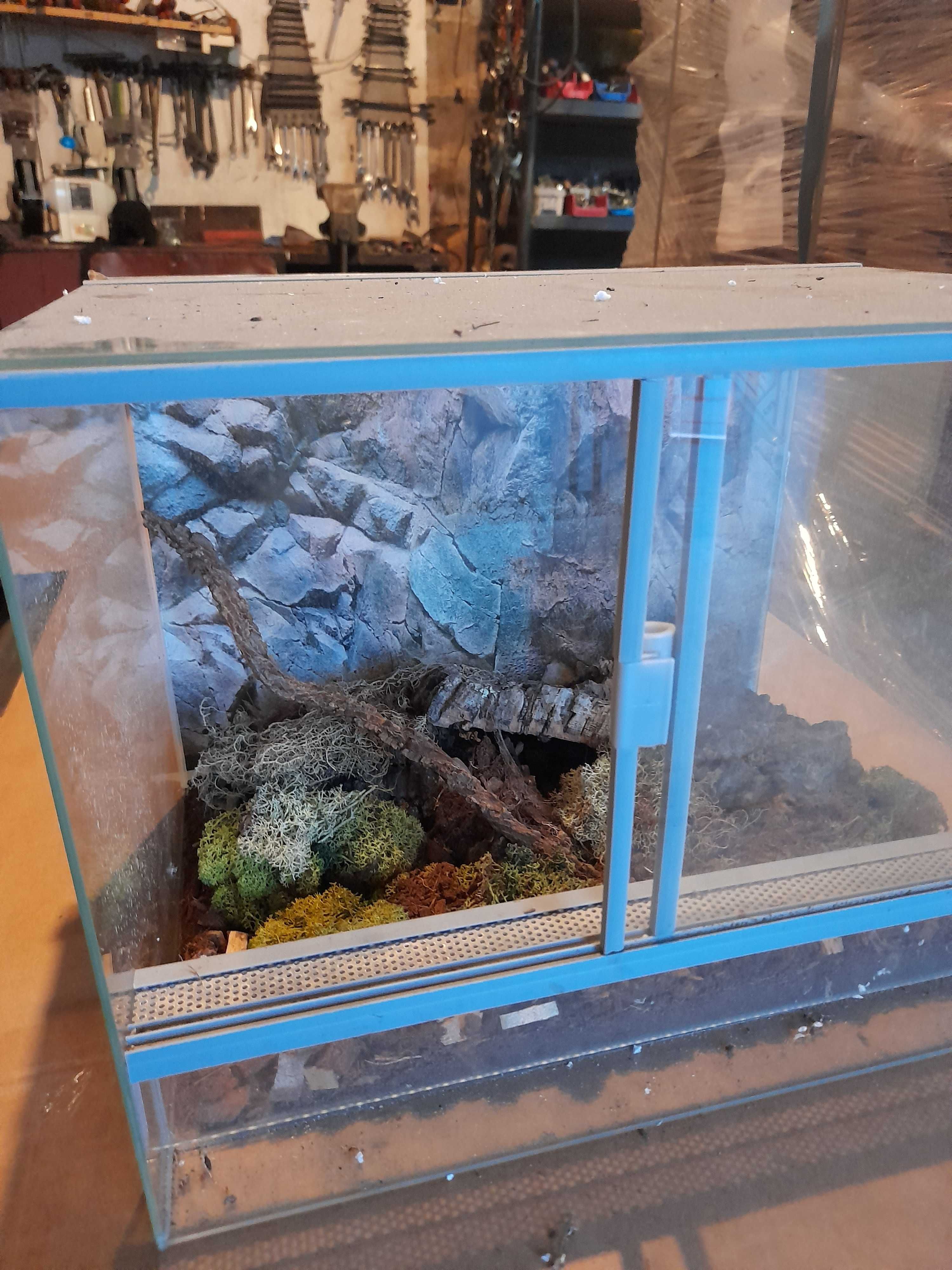 Terarium dla pajaka