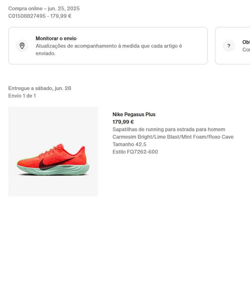 Nike Pegasus Plus