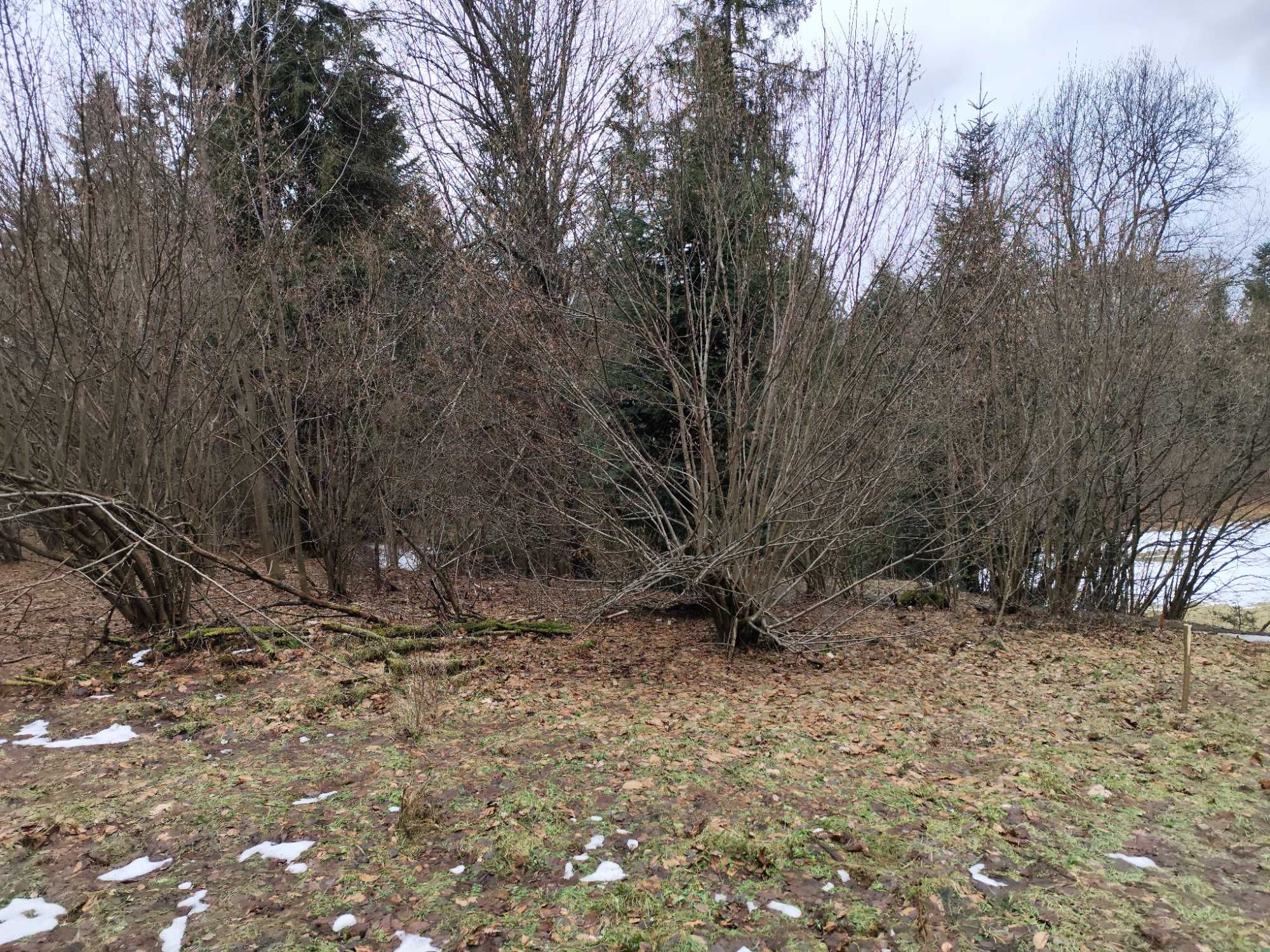 Działka w uzdrowisku Szczawnica