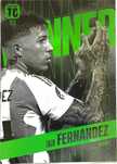 Karta Enzo Fernandez