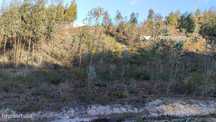 Terreno rustico
