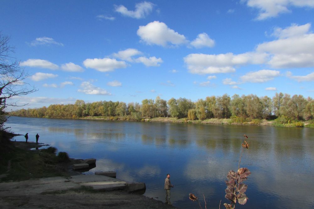 ПУХІВКА. Земельна ділянка 19 соток під забудову.