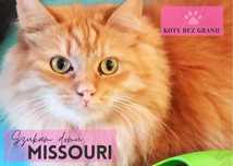 Missouri rudowłosa piękność