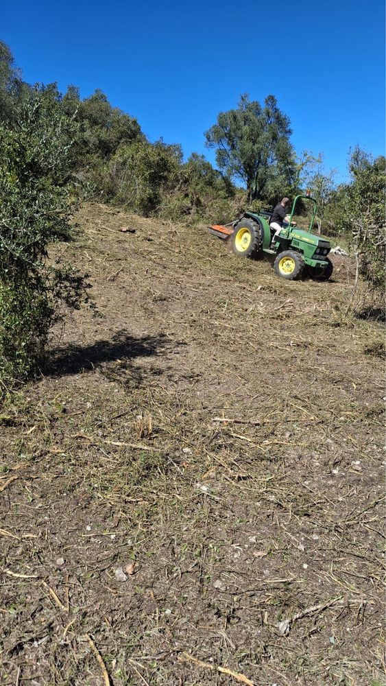 Limpeza terrenos