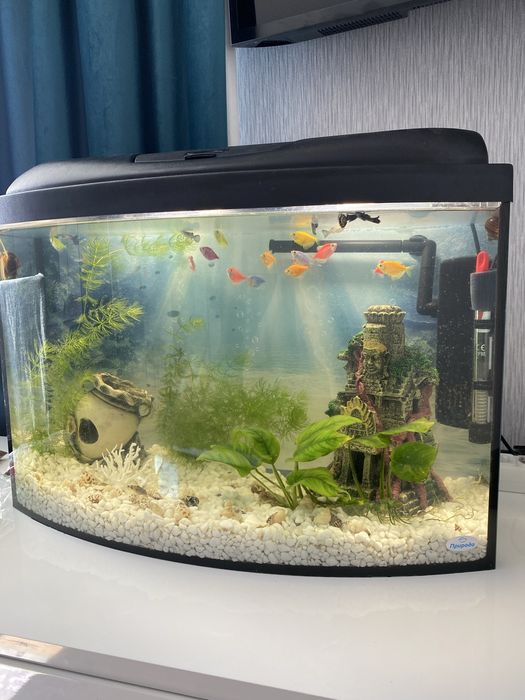 Акваріум 62л новий стан