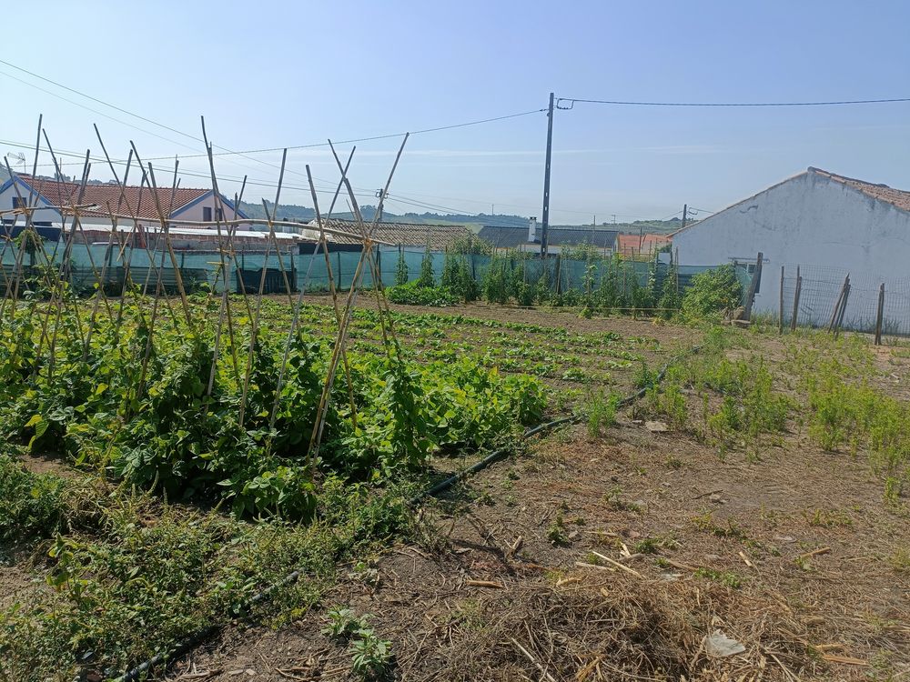 Terreno na Delgada