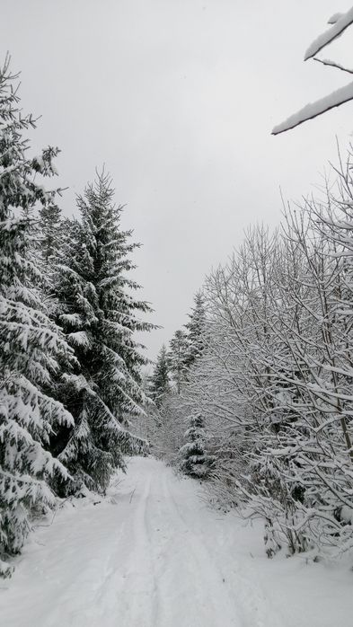 Прокат квадроциклів, подорожі в гори.