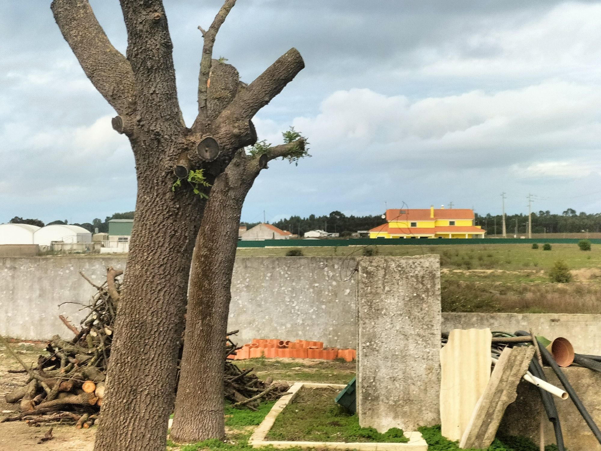 Moradia térrea ótima para adega