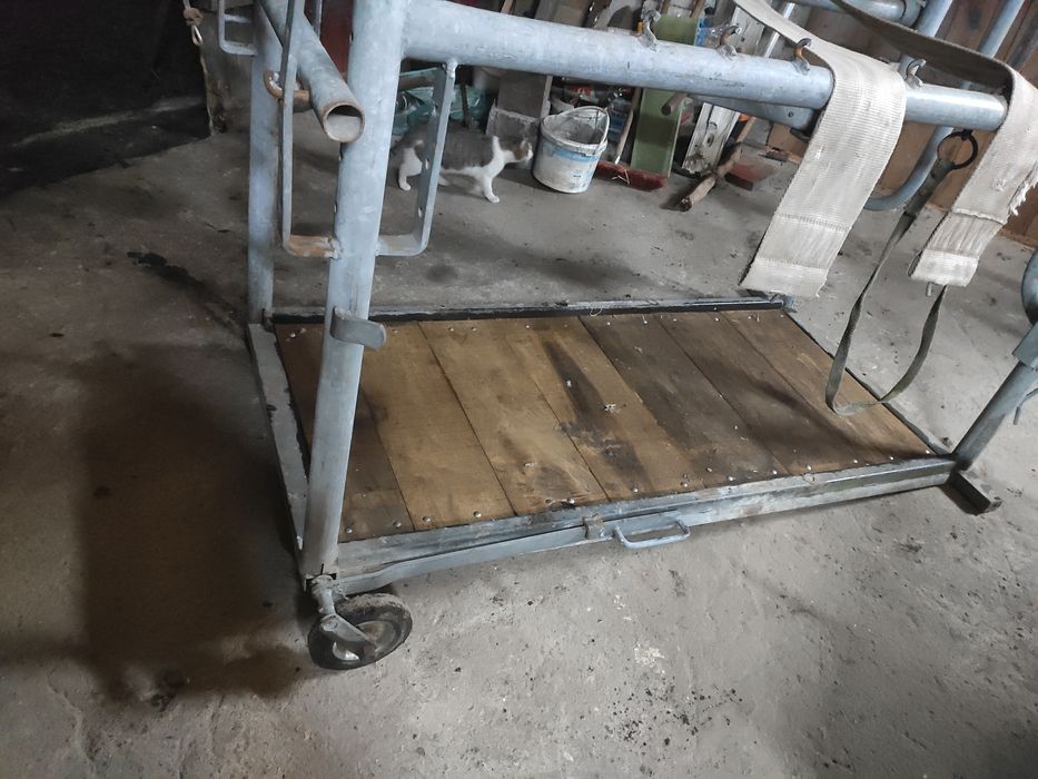 Poskrom do korekty racic