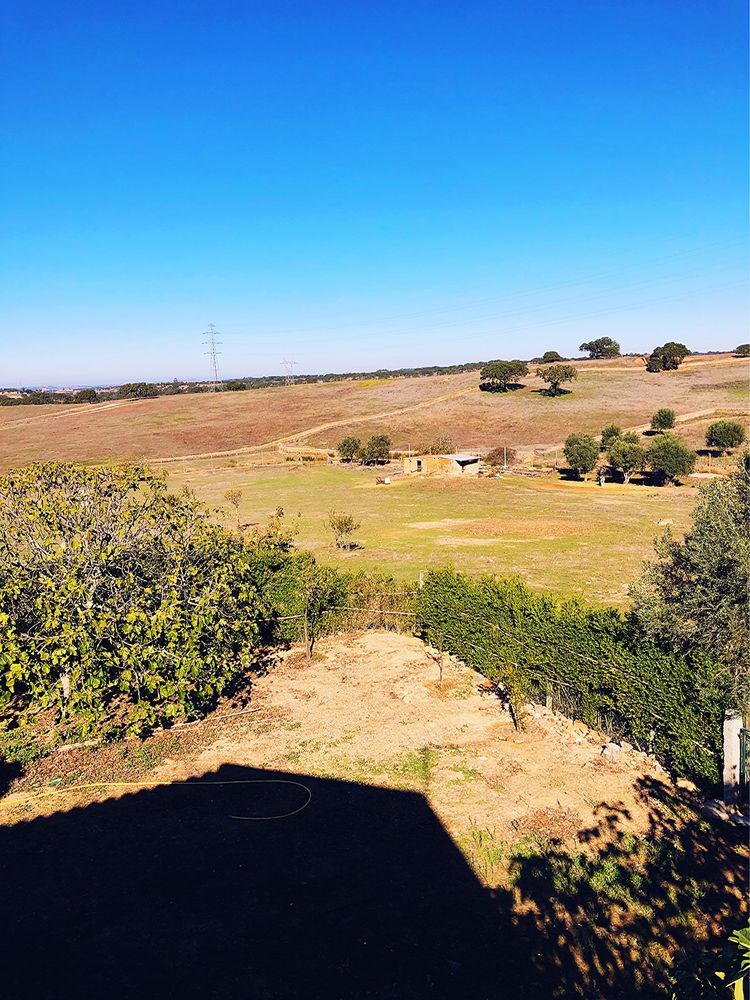 Quinta com 2 Vivendas, 1hectare de terreno, poço+furo de agua etc..
