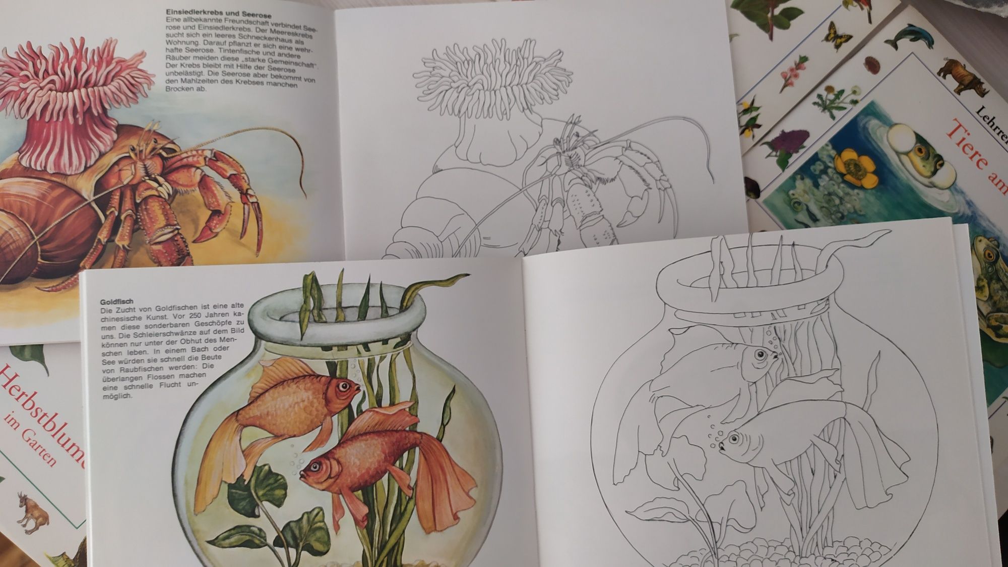 Вінтажні нові німецькі розмальовки з рослинами і тваринами
