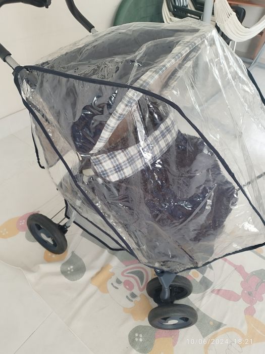 Carinho de passeio e cadeira auto.