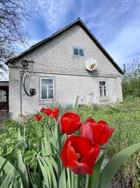 Будинок з тюльпанами. Білецьківка