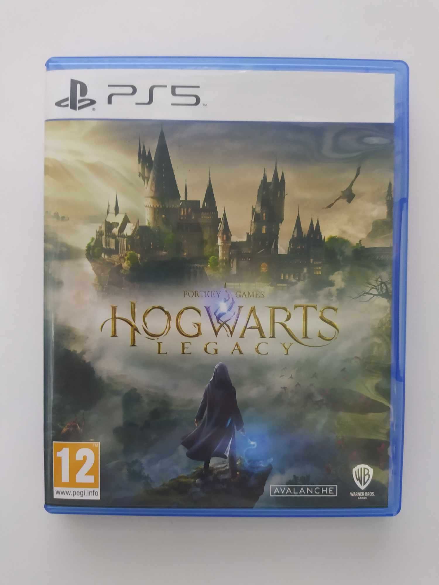 Hogwarts Legacy PS5 Polskie napisy w grze Dziedzictwo Hogwartu
