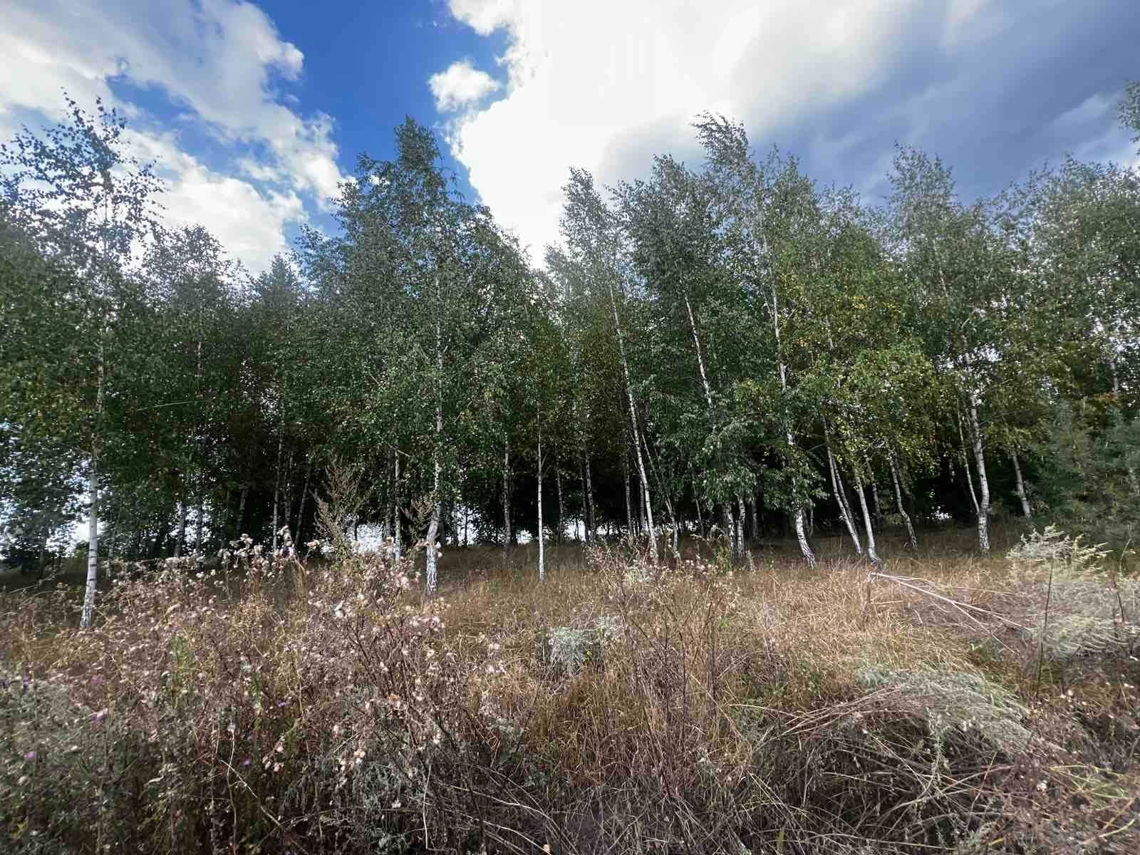 Продаж земельної ділянки комерційного призначення в Гавришівці