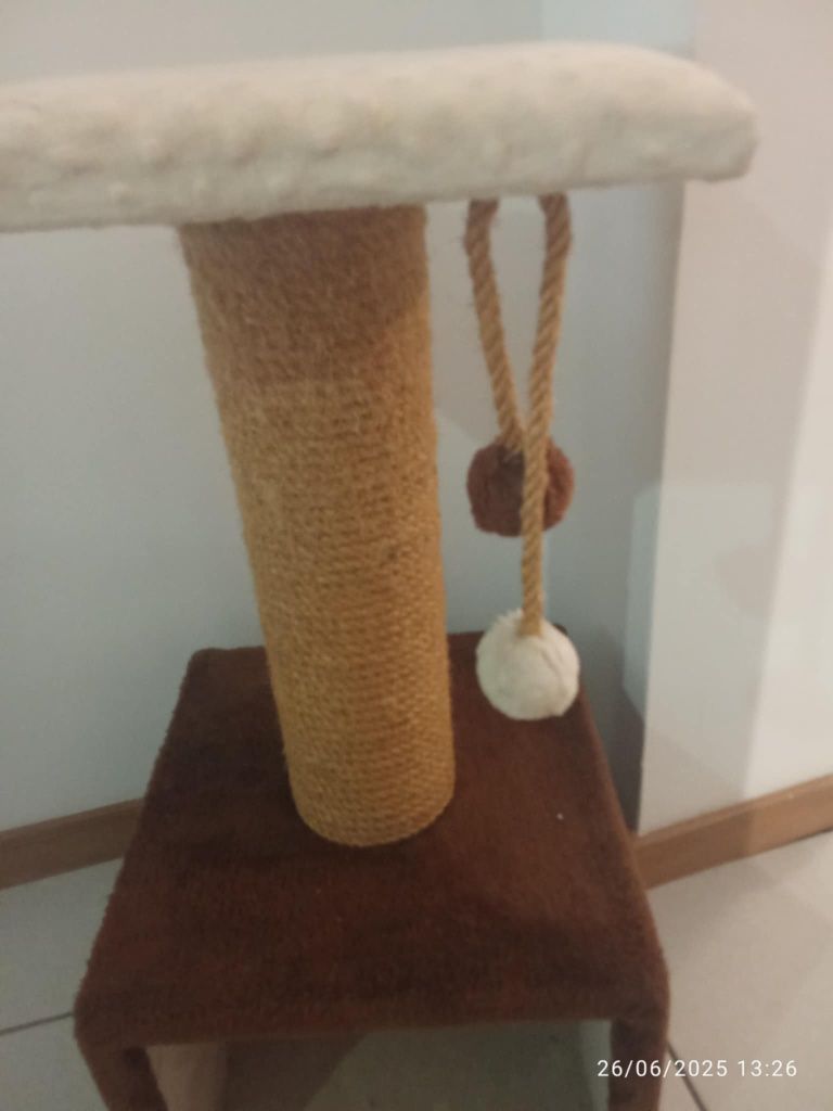 Vendo arranhador para gato novo urgência