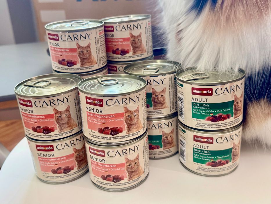 Karma bezzbożowa dla kota