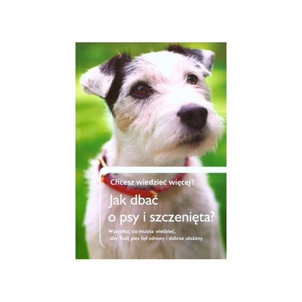 Jak dbać o psy i szczenięta? Chcesz wiedzieć więcej? Michał Wilczewski