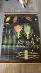 Poster gigante escolar vintage