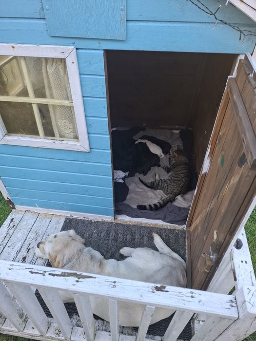 Domek ogrodowe dla dzieci / kojec