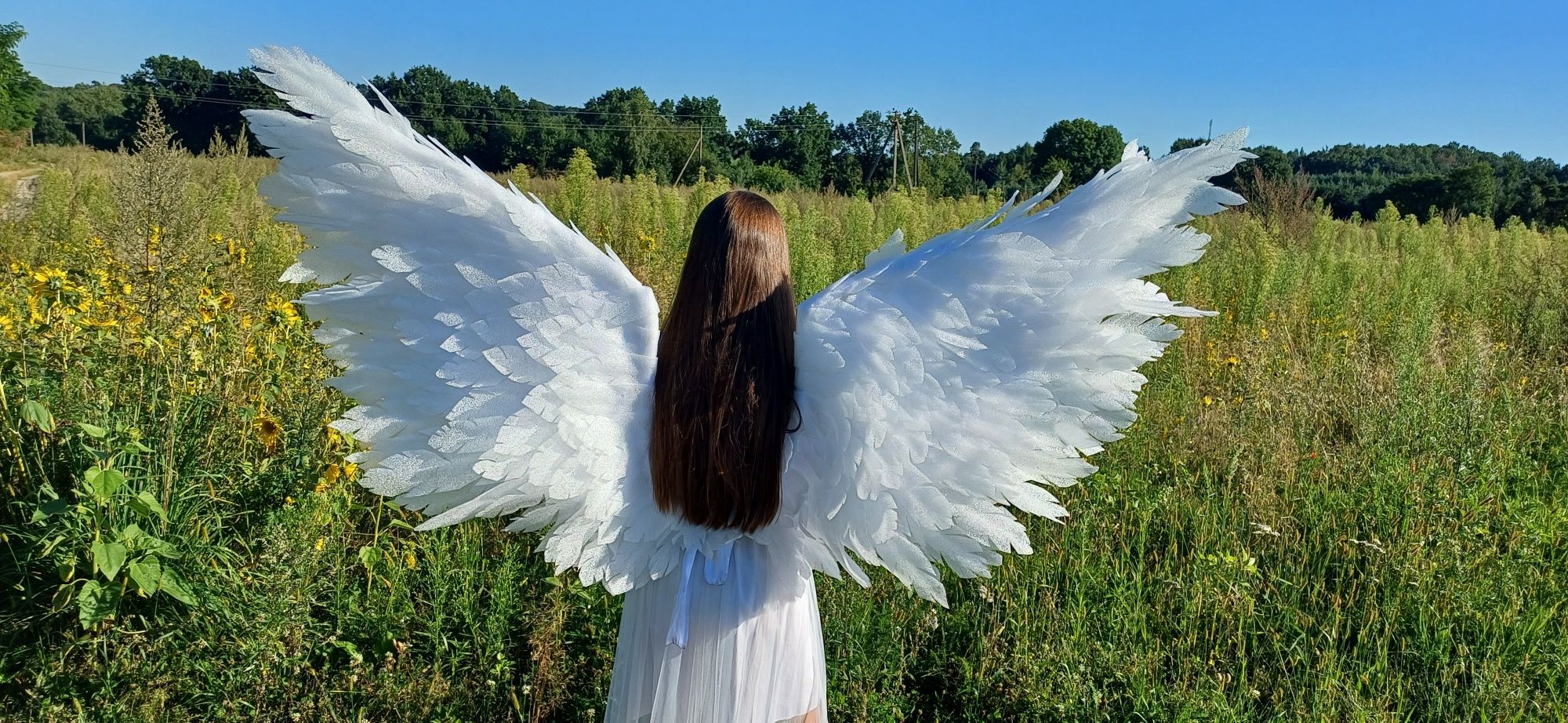 Крила ангела (оренда)