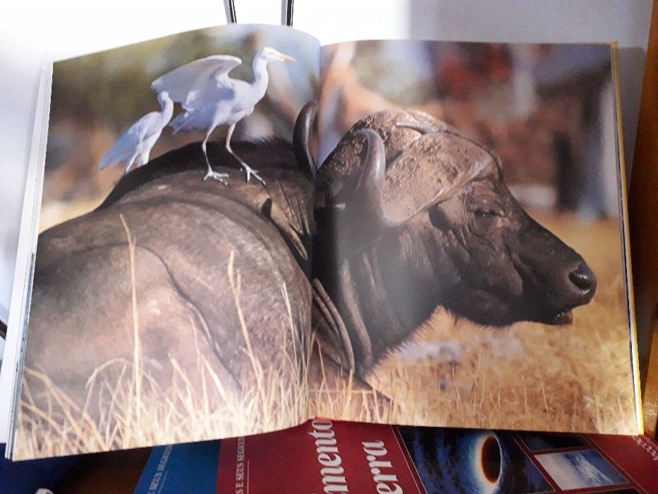 Coleção de 5 livros "A Terra"*** NOVO PREÇO ***