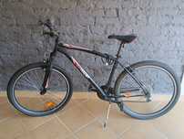 Rower Teamraider 24 "