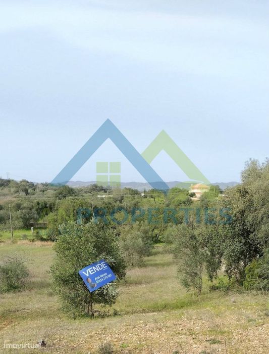 Terreno com árvores, localizado a 5 minutos de São Brás de Alportel