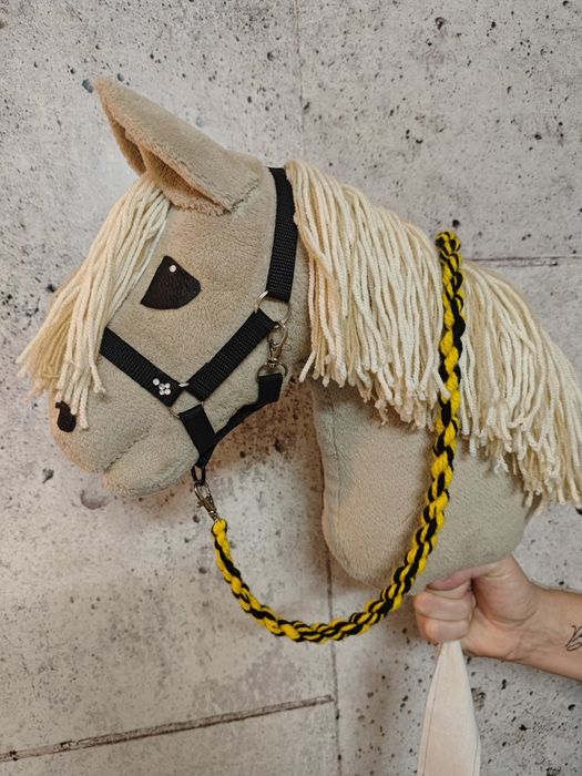 Hobby horse konik na kijku