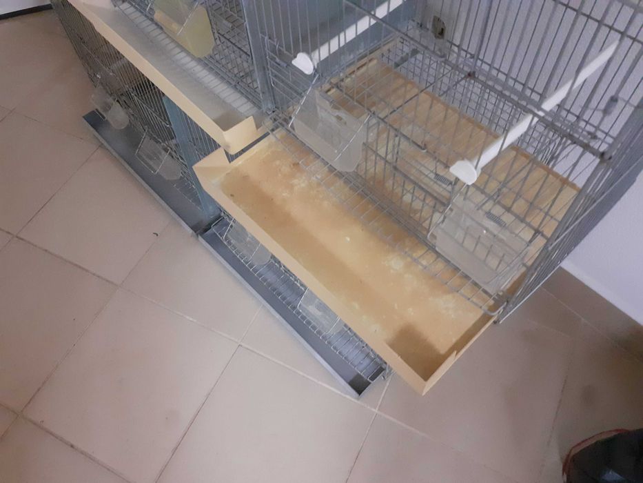Viveiros para aves em bom estado (1m/1.20m/0.77m)