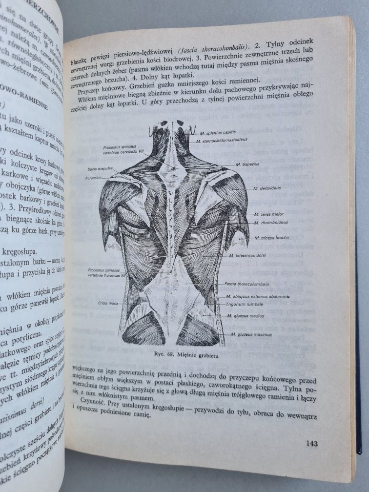 Zarys anatomii człowieka - A.Krechowiecki, F.Czerwiński