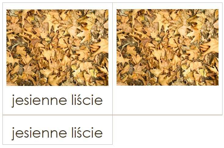 Karty trójdzielne Montessori - JESIEŃ (16 kart) laminowane