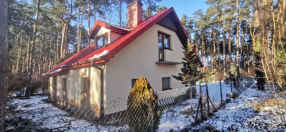 Dom całoroczny do wynajęcia Dębniak w okolicach Sokolniki – Las