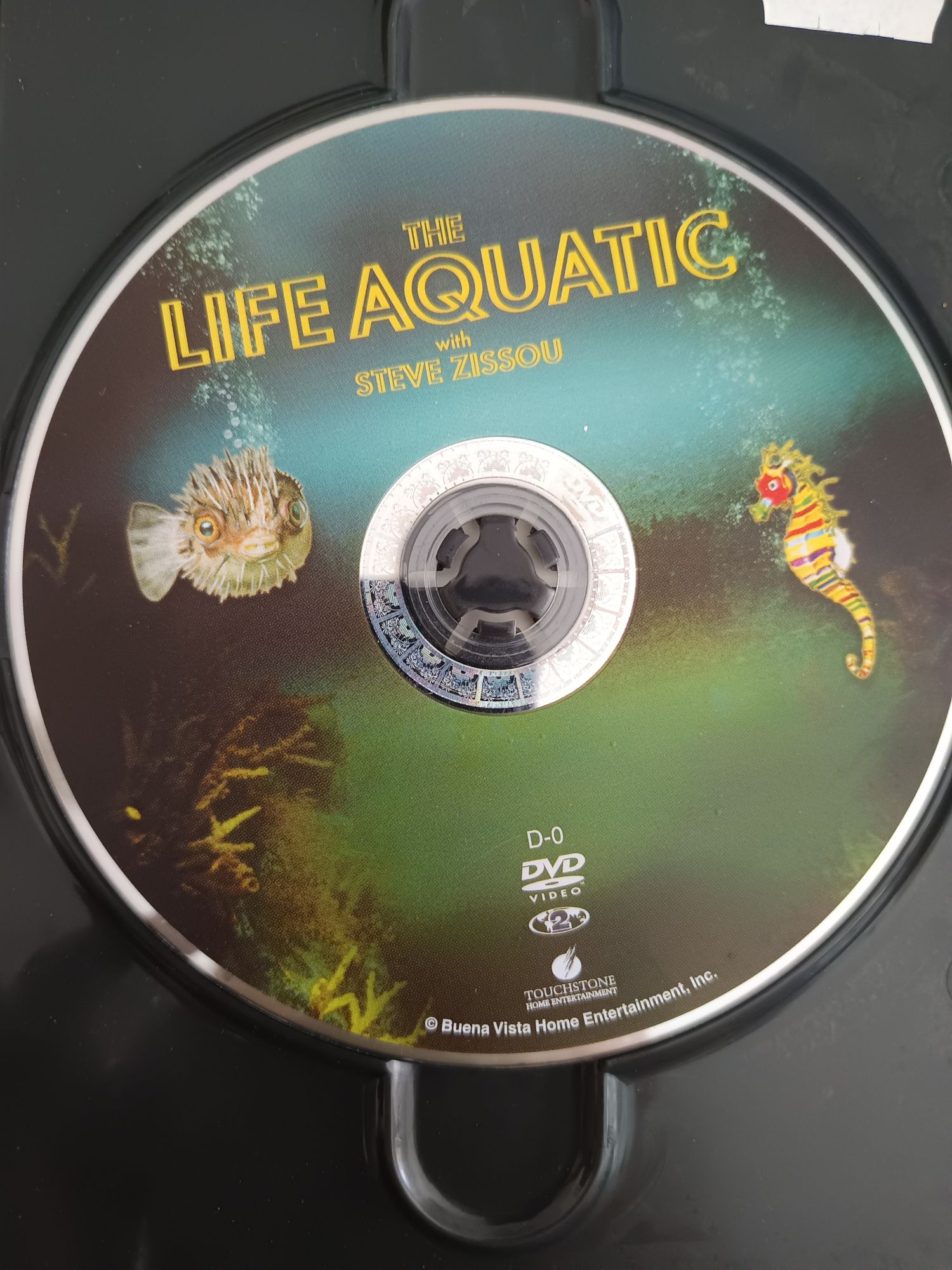 DVD um peixe fora de água