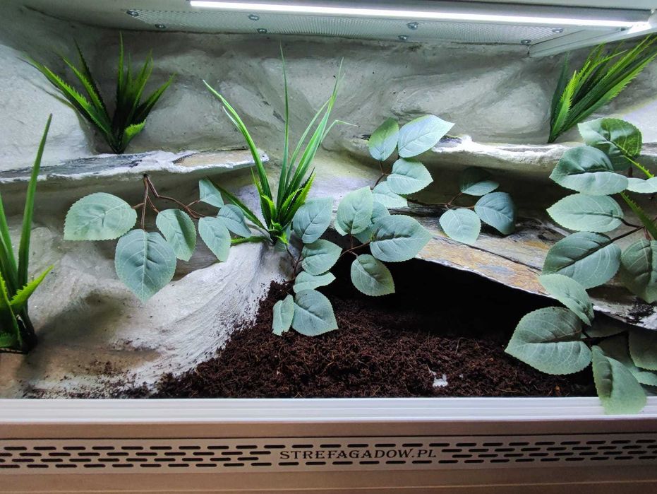 Terrarium tropikalne nr665 80/40/40 dla węża boa pyton NA ZAMÓWIENIE