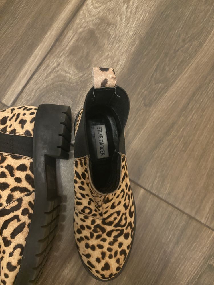 Buty botki steve madden panterka 36
