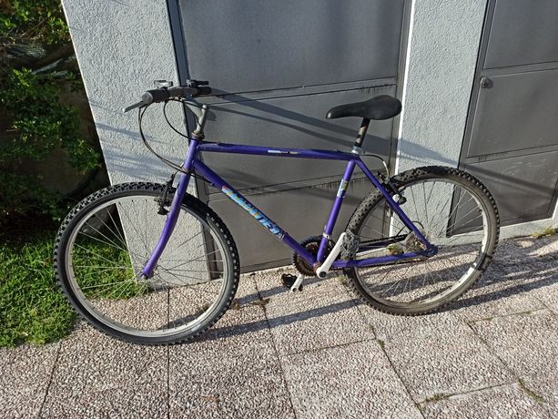 Bicicleta azul para venda