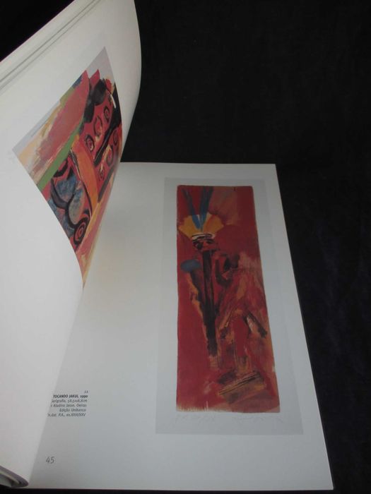 Livro Júlio Pomar Obra Gráfica