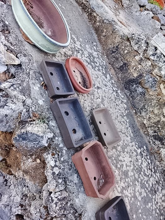 Vasos de bonsai profissionais