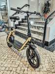 Trotinete Elétrica TwoFish M5 Elite-E (Modelo 2025) – Versão Conforto